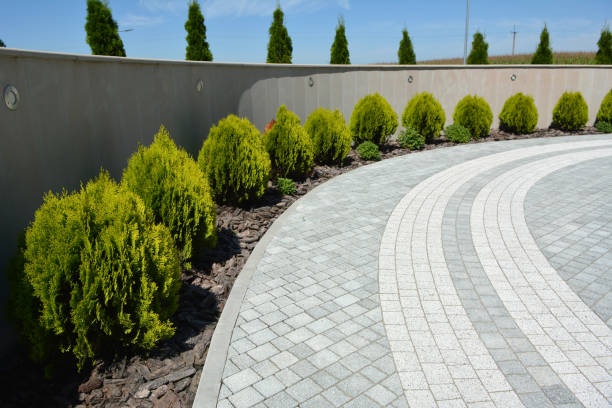 Professional Driveway Pavers in Loyola, CA